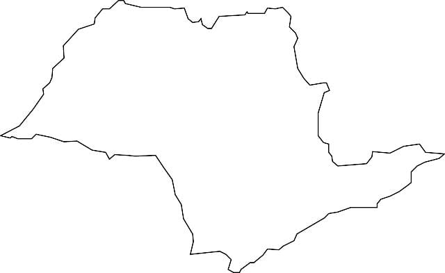 Карта на Сан Пауло вектор