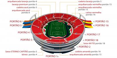 Картата стадион 